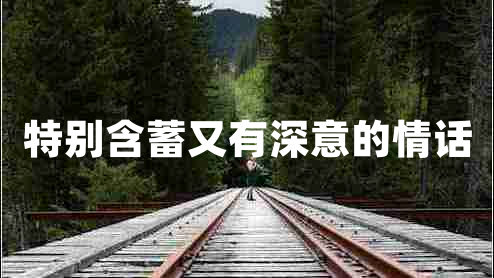 特别含蓄又有深意的情话