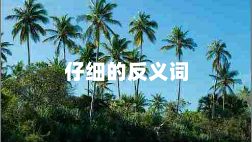 仔细的反义词