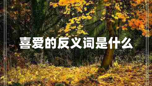 喜爱的反义词是什么