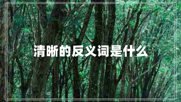 清晰的反义词是什么