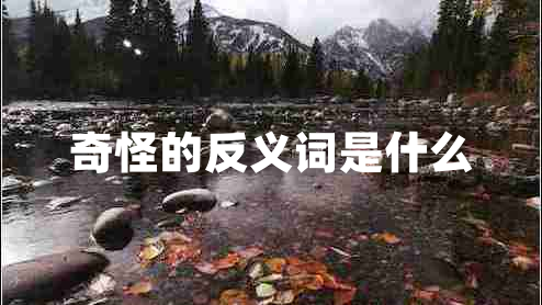 奇怪的反义词是什么