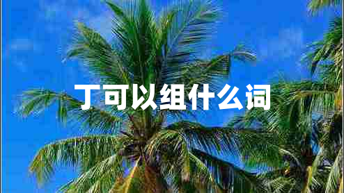 丁可以组什么词