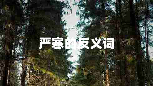 严寒的反义词