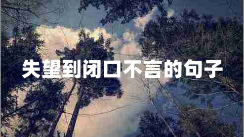 失望到闭口不言的句子