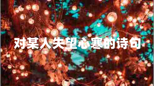 对某人失望心寒的诗句
