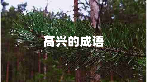 高兴的成语
