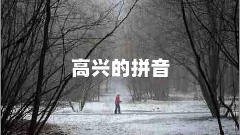 高兴的拼音