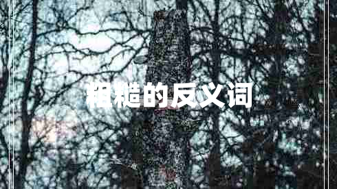 粗糙的反义词
