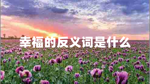 幸福的反义词是什么