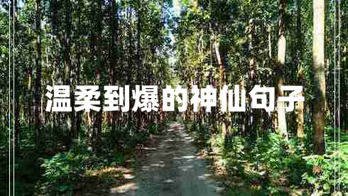 温柔到爆的神仙句子