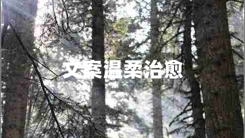 文案温柔治愈