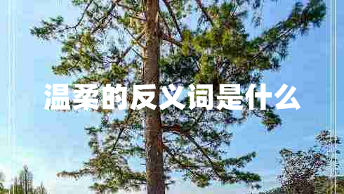 温柔的反义词是什么