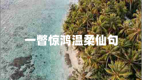 一瞥惊鸿温柔仙句