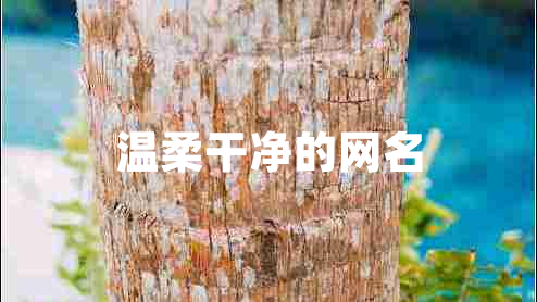 温柔干净的网名 温柔干净的网名