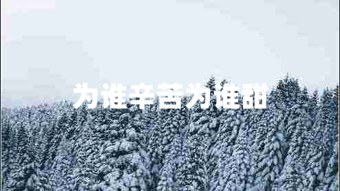 为谁辛苦为谁甜