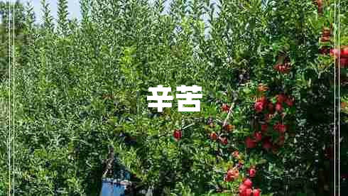 辛苦