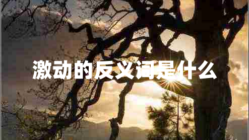 激动的反义词是什么