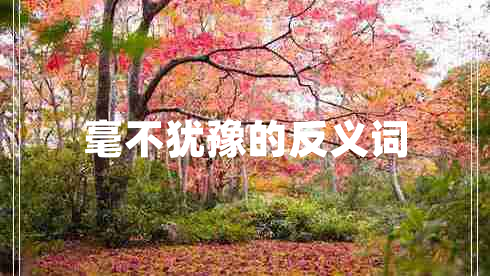 毫不犹豫的反义词