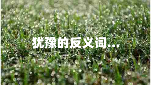 犹豫的反义词…