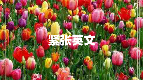 紧张英文 紧张英文