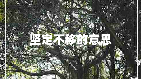 坚定不移的意思
