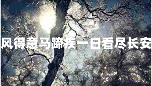春风得意马蹄疾一日看尽长安花