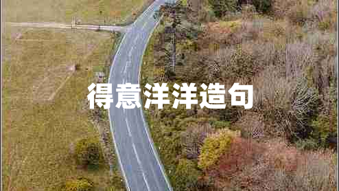 得意洋洋造句
