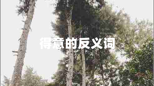 得意的反义词