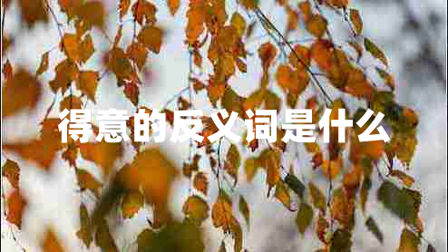 得意的反义词是什么
