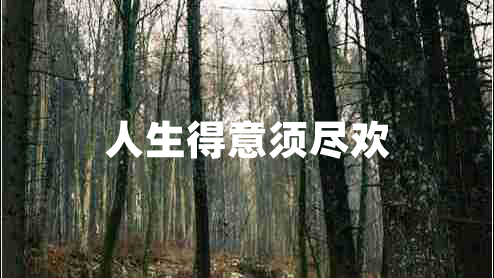 人生得意须尽欢