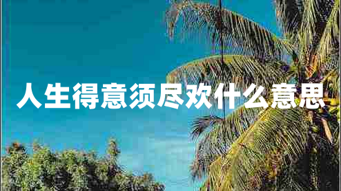 人生得意须尽欢什么意思