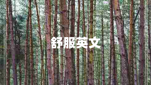 舒服英文