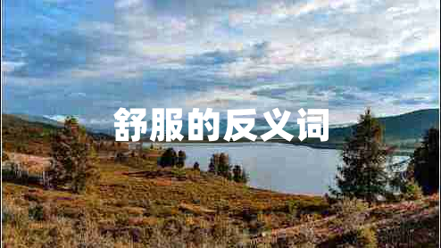 舒服的反义词