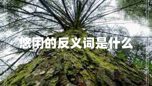 悠闲的反义词是什么