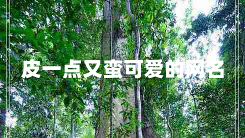 皮一点又蛮可爱的网名