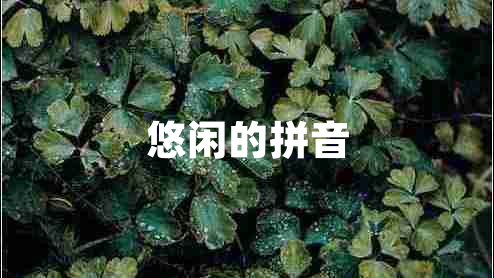 悠闲的拼音