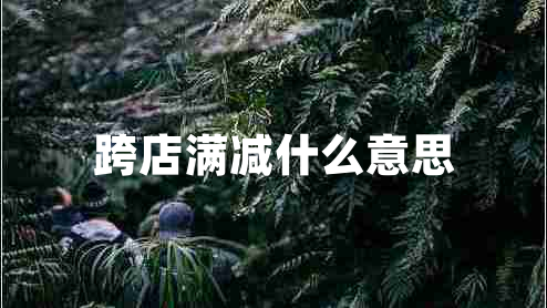 跨店满减什么意思