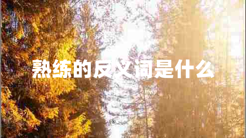 熟练的反义词是什么