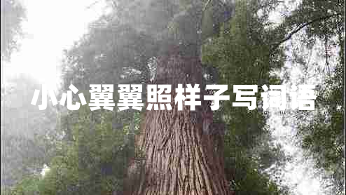 小心翼翼照样子写词语 小心翼翼照样子写词语