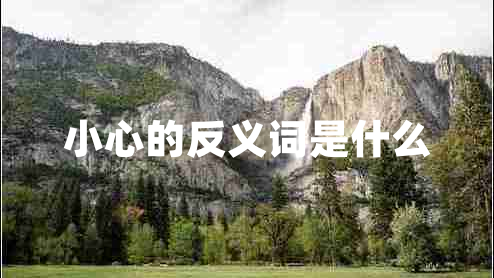 小心的反义词是什么