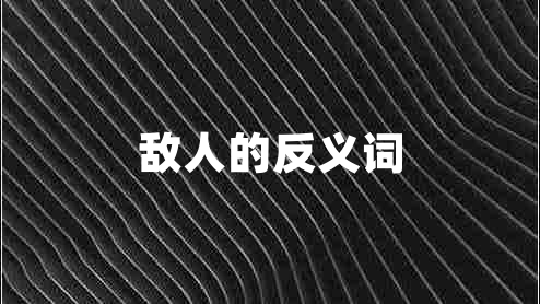 敌人的反义词
