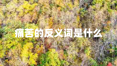 痛苦的反义词是什么