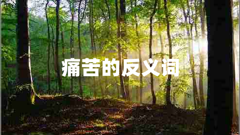 痛苦的反义词