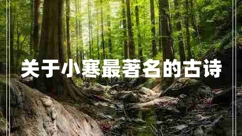 关于小寒最著名的古诗 关于小寒最著名的古诗