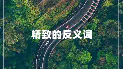 精致的反义词