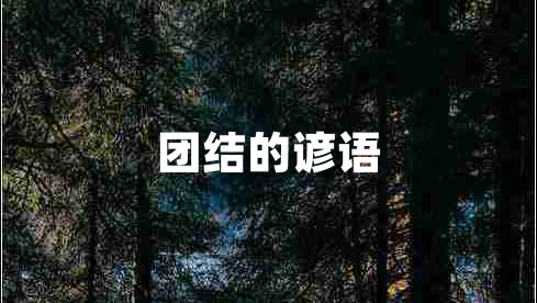 团结的谚语