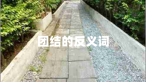 团结的反义词