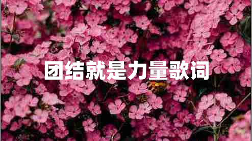 团结就是力量歌词