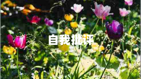 自我批评