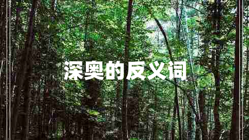 深奥的反义词